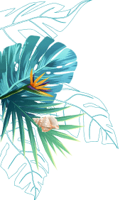 decor_bottom_banner